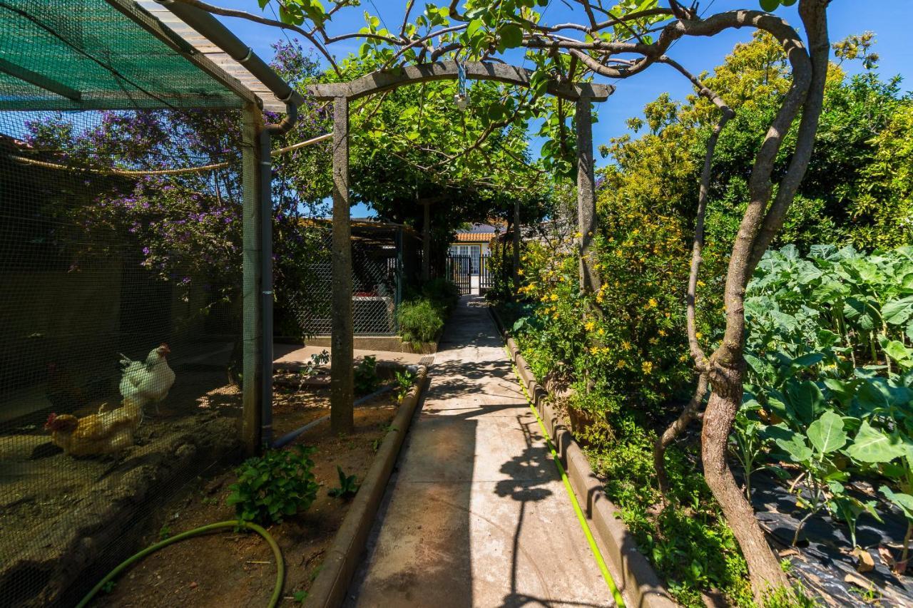 Araujo 111 - Traditional House Leca do Balio ภายนอก รูปภาพ